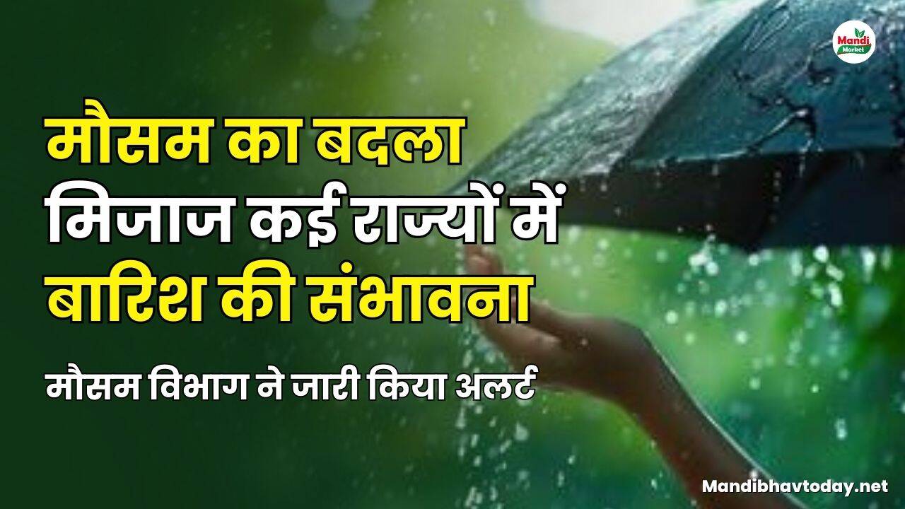 मौसम का बदला मिजाज कई राज्यों में बारिश की संभावना | मौसम विभाग ने जारी किया अलर्ट
