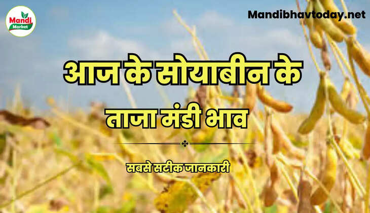 सोयाबीन के वायदा भाव में तेजी | जानिए क्या खुले हैं आज सोयाबीन के रेट Soybean Live Rate Today 21 june 2023 