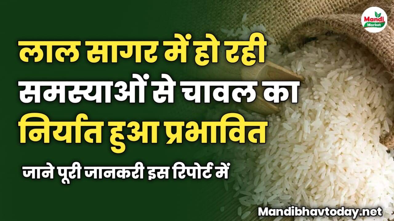 लाल सागर में हो रही समस्याओं से चावल का निर्यात हुआ प्रभावित | जाने पूरी जानकरी इस रिपोर्ट में