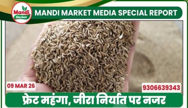 mandibhavtoday