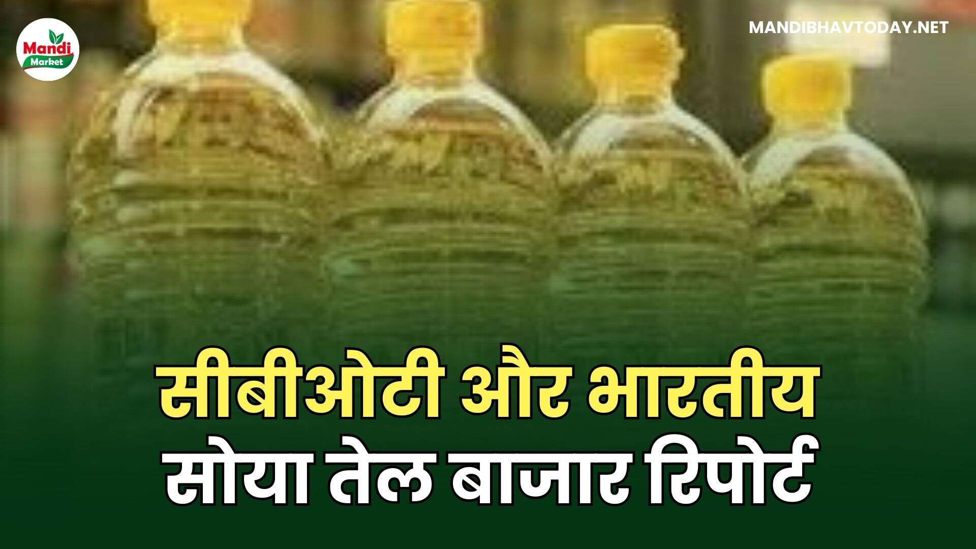 सीबीओटी और भारतीय सोया तेल बाजार रिपोर्ट