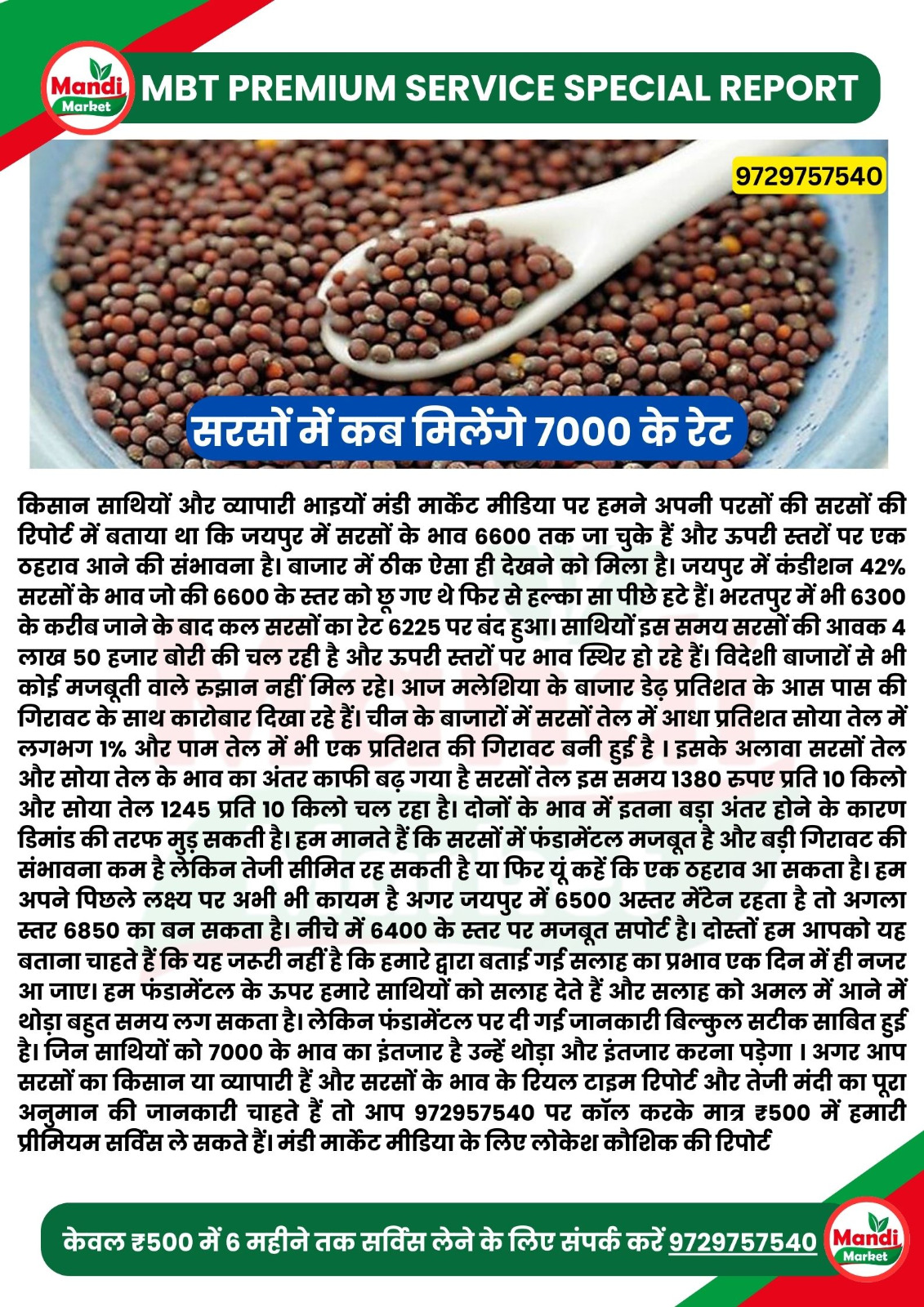 सरसों इमेज 