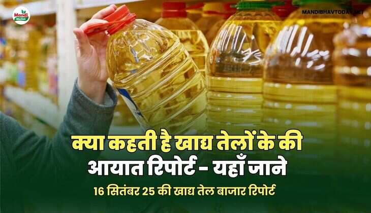 क्या कहती है खाद्य तेलों के की आयात रिपोर्ट -&nbsp;यहाँ&nbsp;जाने