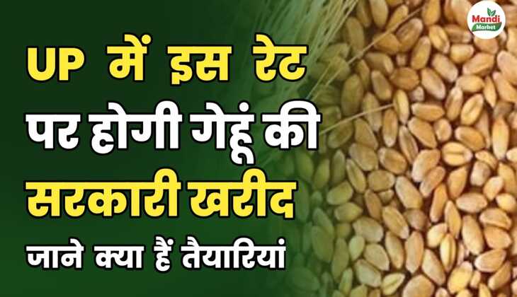 UP में इस रेट पर होगी गेहूं की सरकारी खरीद | जाने क्या हैं तैयारियां