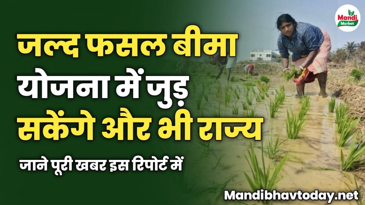 जल्द फसल बीमा योजना में जुड़ सकेंगे और भी राज्य | जाने पूरी खबर इस रिपोर्ट में