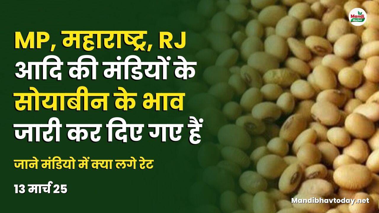 सोयाबीन 