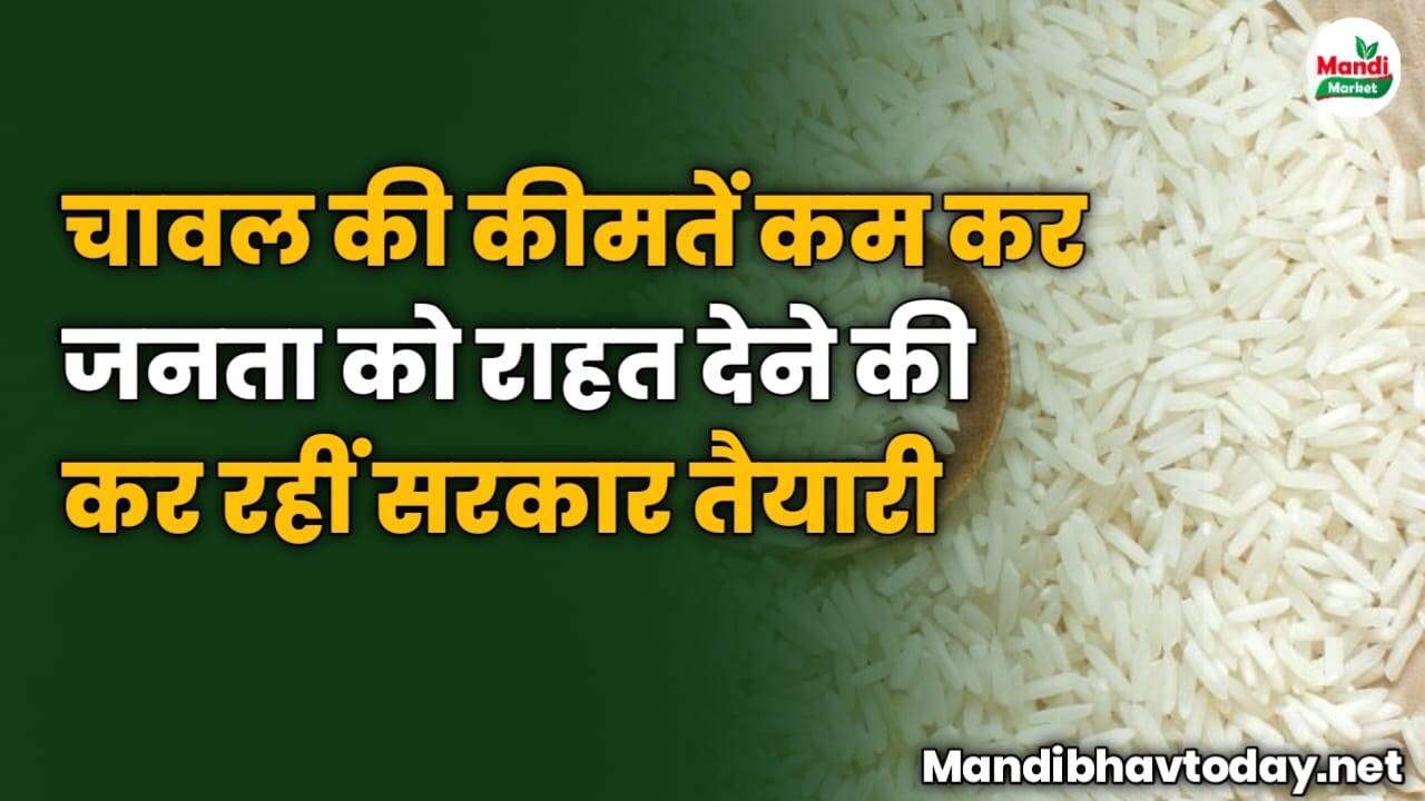 चावल की कीमतें कम कर जनता को राहत देने की कर रहीं सरकार तैयारी