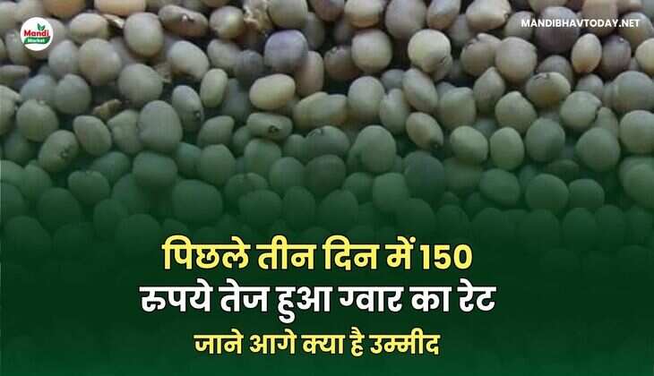 ग्वार image