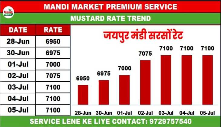 mustard live rate