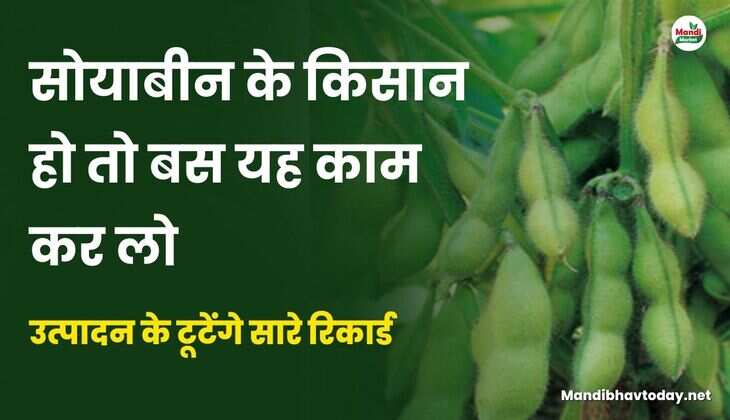 सोयाबीन के किसान हो तो बस यह काम कर लो | उत्पादन के टूटेंगे सारे रिकार्ड | जाने पूरी डिटेल्स