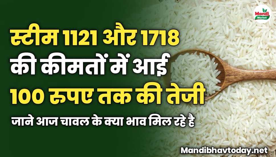स्टीम 1121 और 1718 की कीमतों में आई 100 रुपए तक की तेजी | जाने आज चावल के क्या भाव मिल रहे है 