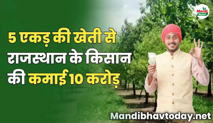 5 एकड़ की खेती से राजस्थान के किसान की कमाई 10 करोड़ 