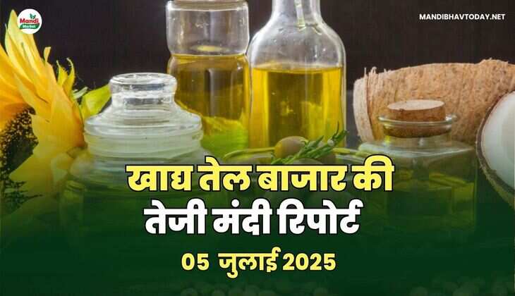 खाद्य तेल बाजार मे तेजी मंदी रिपोर्ट -05  जुलाई 2025