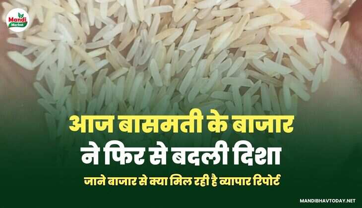 बासमती IMAGES