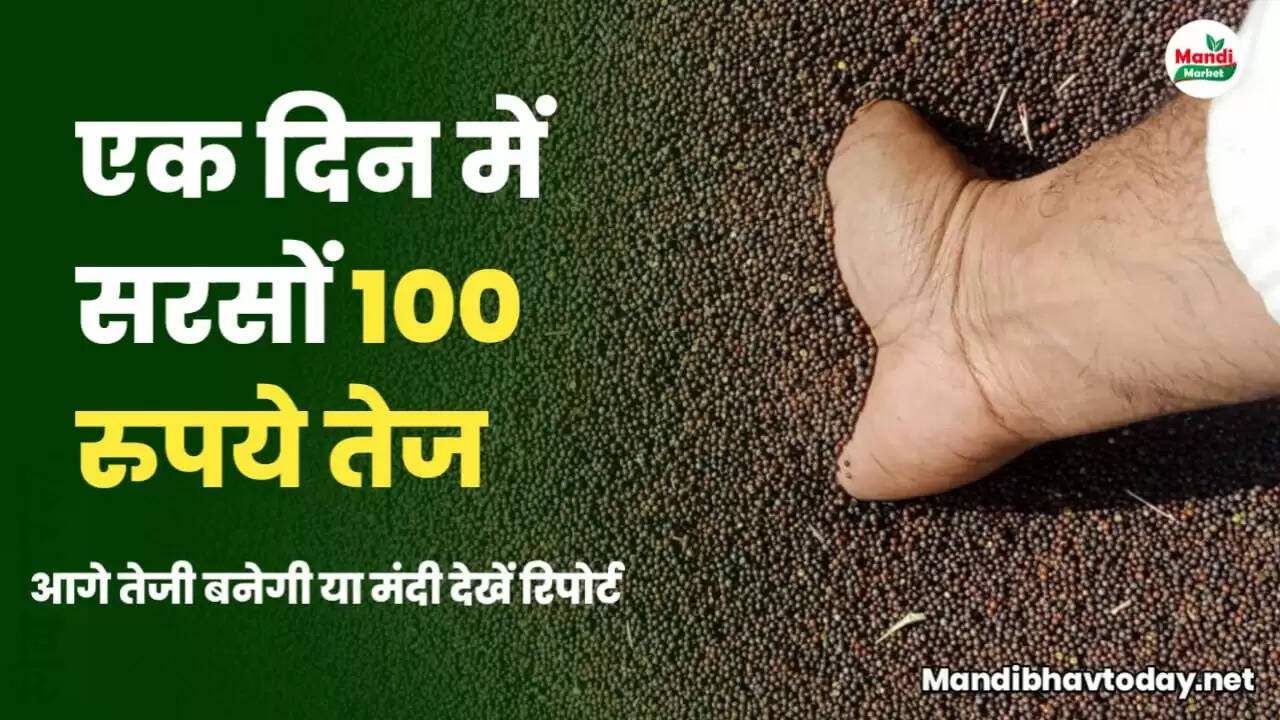 MANDI BHAV TODAY