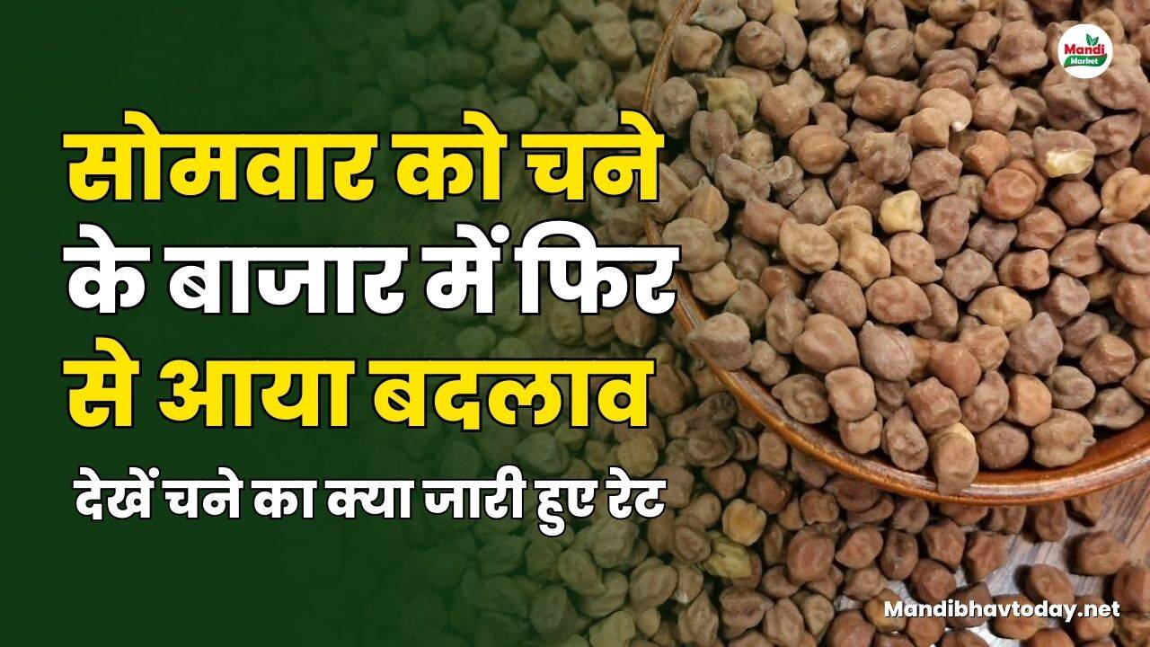 देखें चने का क्या जारी हुए रेट