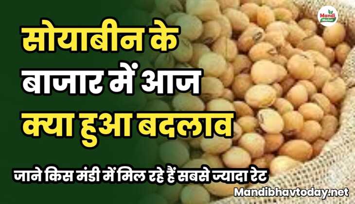 सोयाबीन के बाजार में आज क्या हुआ बदलाव | जाने किस मंडी में मिल रहे हैं सबसे ज्यादा रेट |soyabean ke taja mandi bhav 16 january 2025
