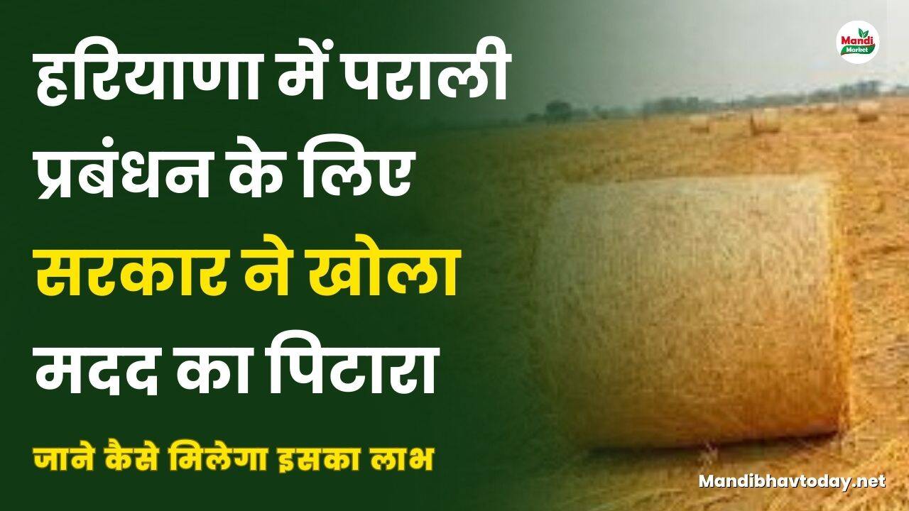 हरियाणा में पराली प्रबंधन के लिए सरकार ने खोला मदद का पिटारा | जाने कैसे मिलेगा इसका लाभ
