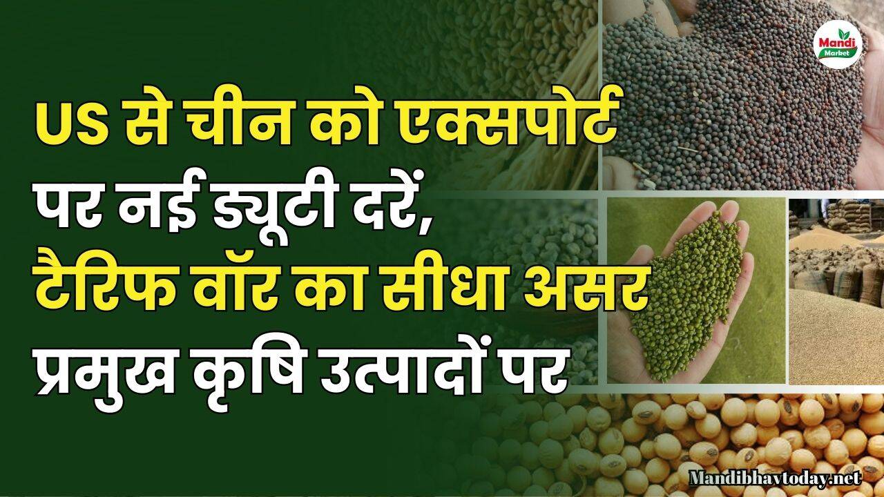US से चीन को एक्सपोर्ट पर नई ड्यूटी दरें: टैरिफ वॉर का सीधा असर प्रमुख कृषि उत्पादों पर