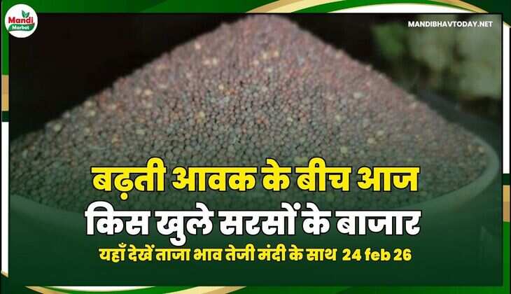 mandibhavtodaymandibhavtoday