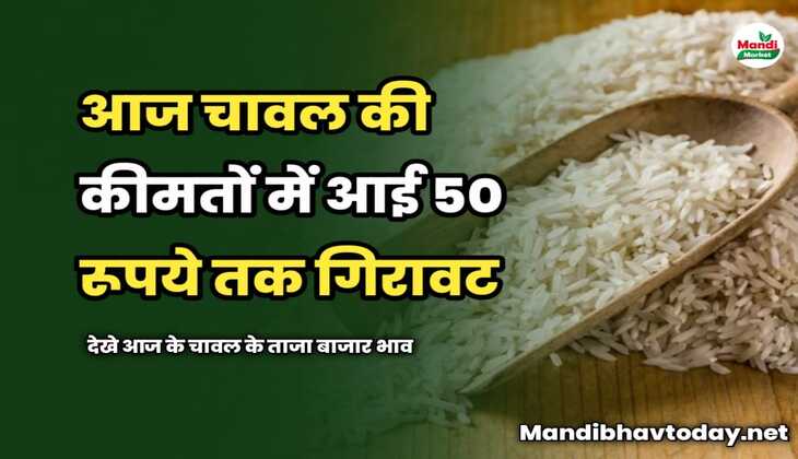 आज चावल की कीमतों में आई 50 रूपये तक गिरावट | देखे आज के चावल के ताजा बाजार भाव 