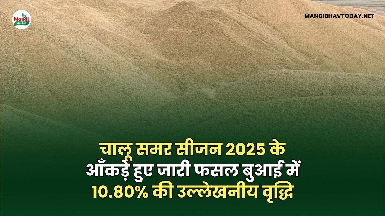 चालू समर सीजन 2025 के आँकड़े हुए जारी फसल बुआई में 10.80% की उल्लेखनीय वृद्धि