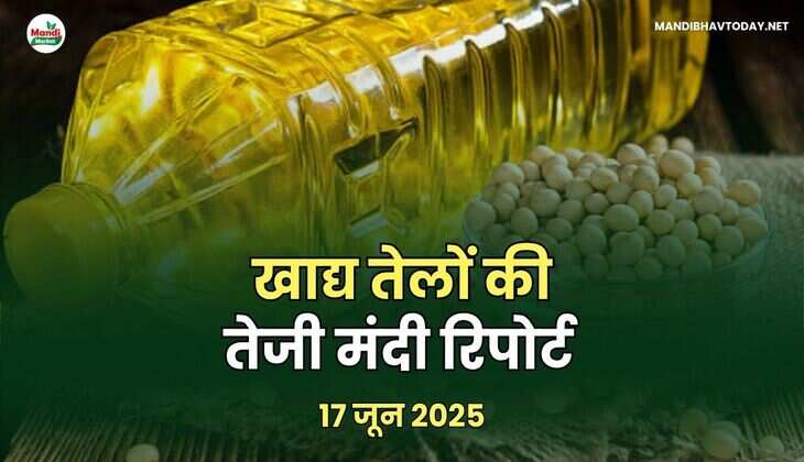 खाद्य तेलों की तेजी मंदी रिपोर्ट -17 जून 2025
