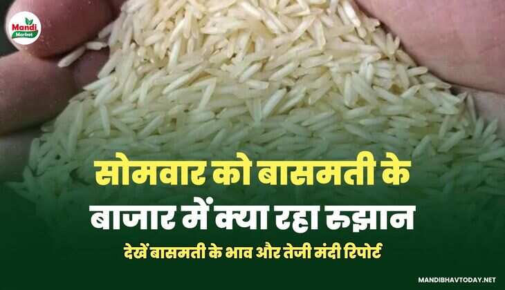 बासमती IMAGES