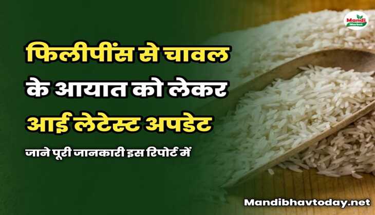 फिलीपींस से चावल के आयात को लेकर आई लेटेस्ट अपडेट | जाने पूरी जानकारी इस रिपोर्ट में 