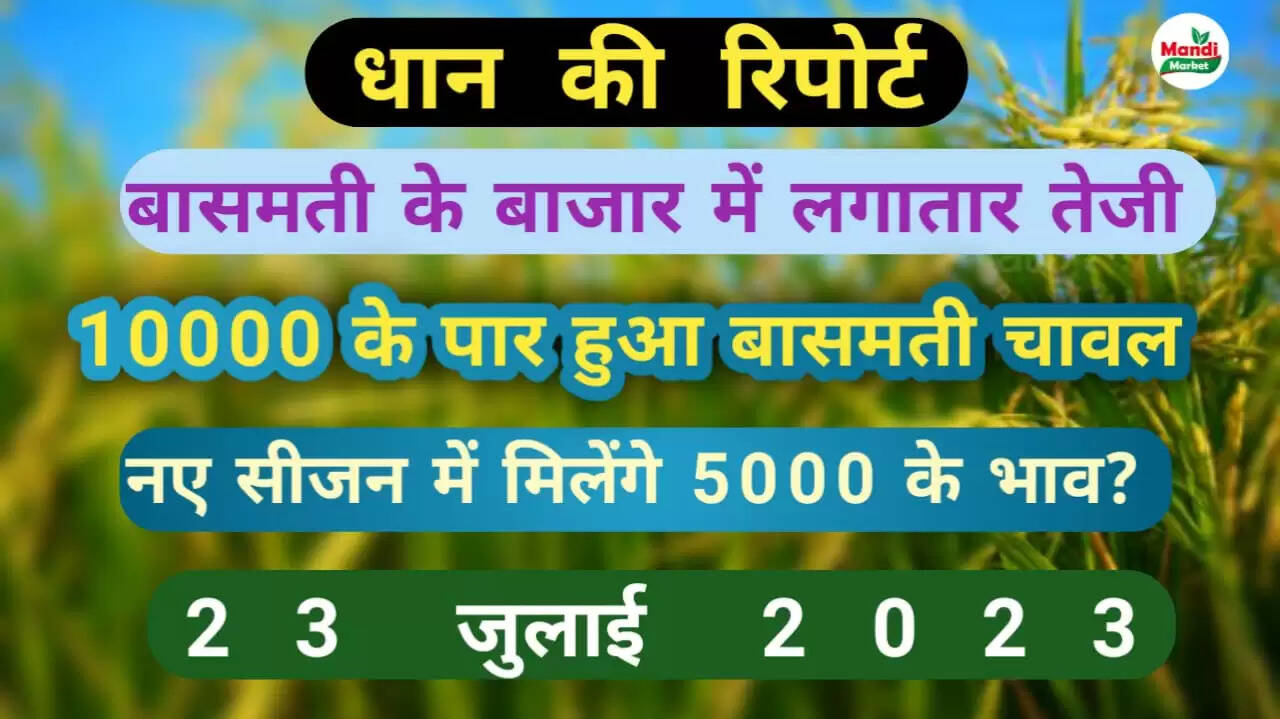 BASMATI RATE RISE