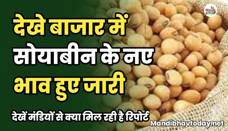 देखे बाजार में सोयाबीन के नए भाव हुए जारी | देखें मंडियों से क्या मिल रही है रिपोर्ट soyabean ke taja mandi bhav 4 february 2025