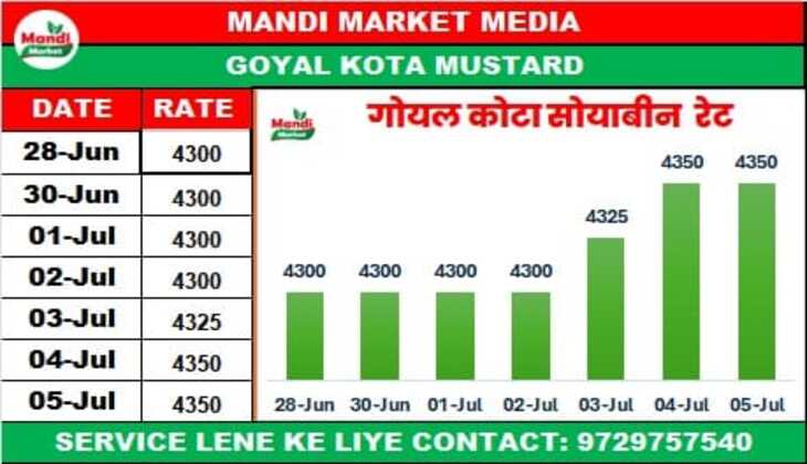 soyabean live rates