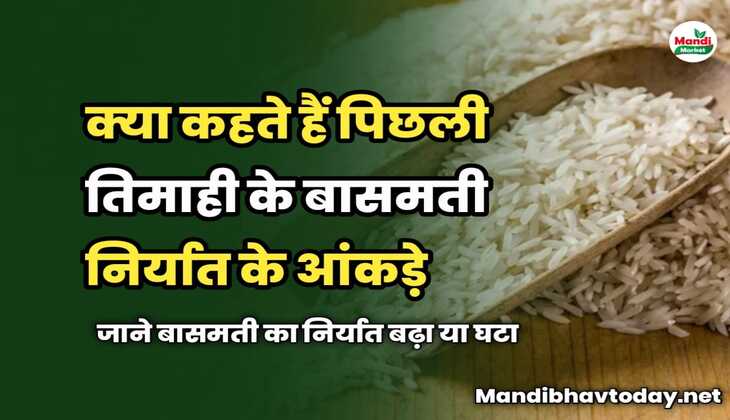 India Rice Export Report : क्या कहते हैं पिछली तिमाही के बासमती निर्यात के आंकड़े | जाने (अक्टूबर-दिसम्बर 2024) तिमाही में बासमती का निर्यात बढ़ा या घटा 