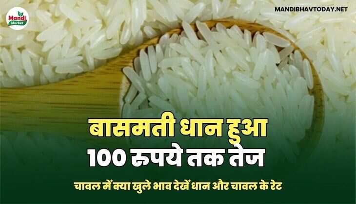 बासमती IMAGES