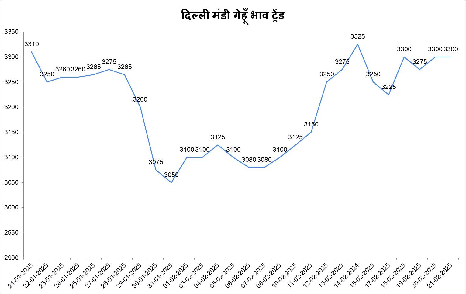गेहू 