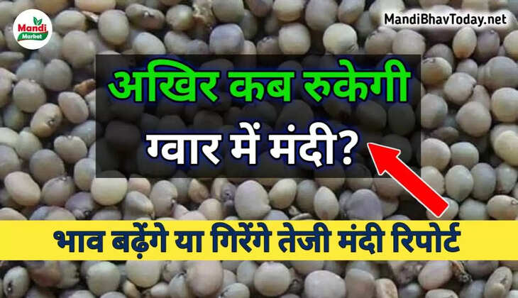 gwar teji mandi report