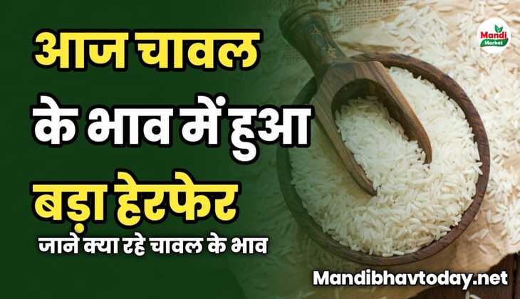 आज चावल के भाव में हुआ बड़ा हेरफेर | जाने क्या रहे चावल के भाव 
