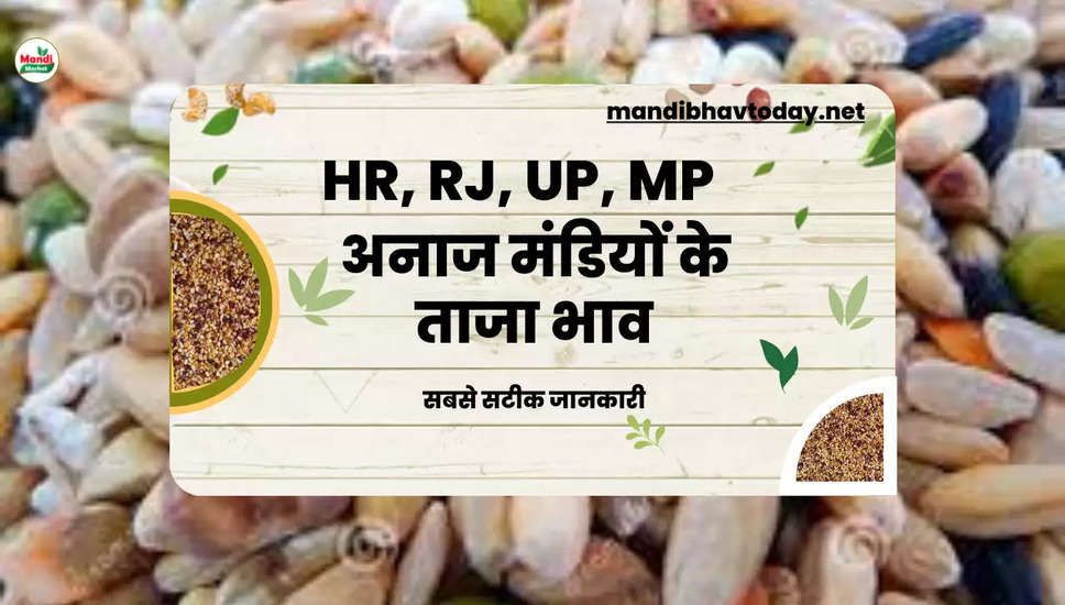 HR RJ MP UP Mandiyo ke bhav 03 Dec 22