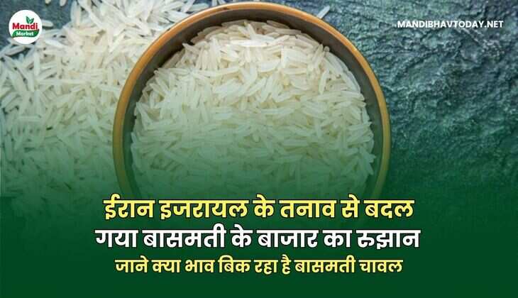 बासमती IMAGE