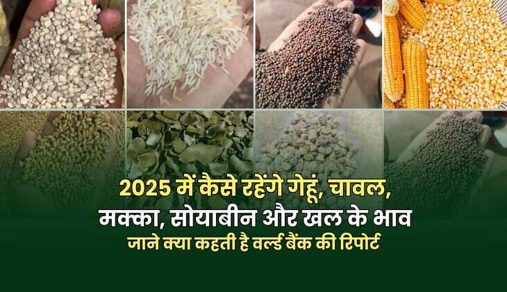 जाने क्या कहती है वर्ल्ड बैंक की रिपोर्ट