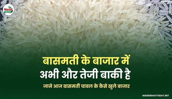  जाने आज बासमती चावल के कैसे खुले बाजार