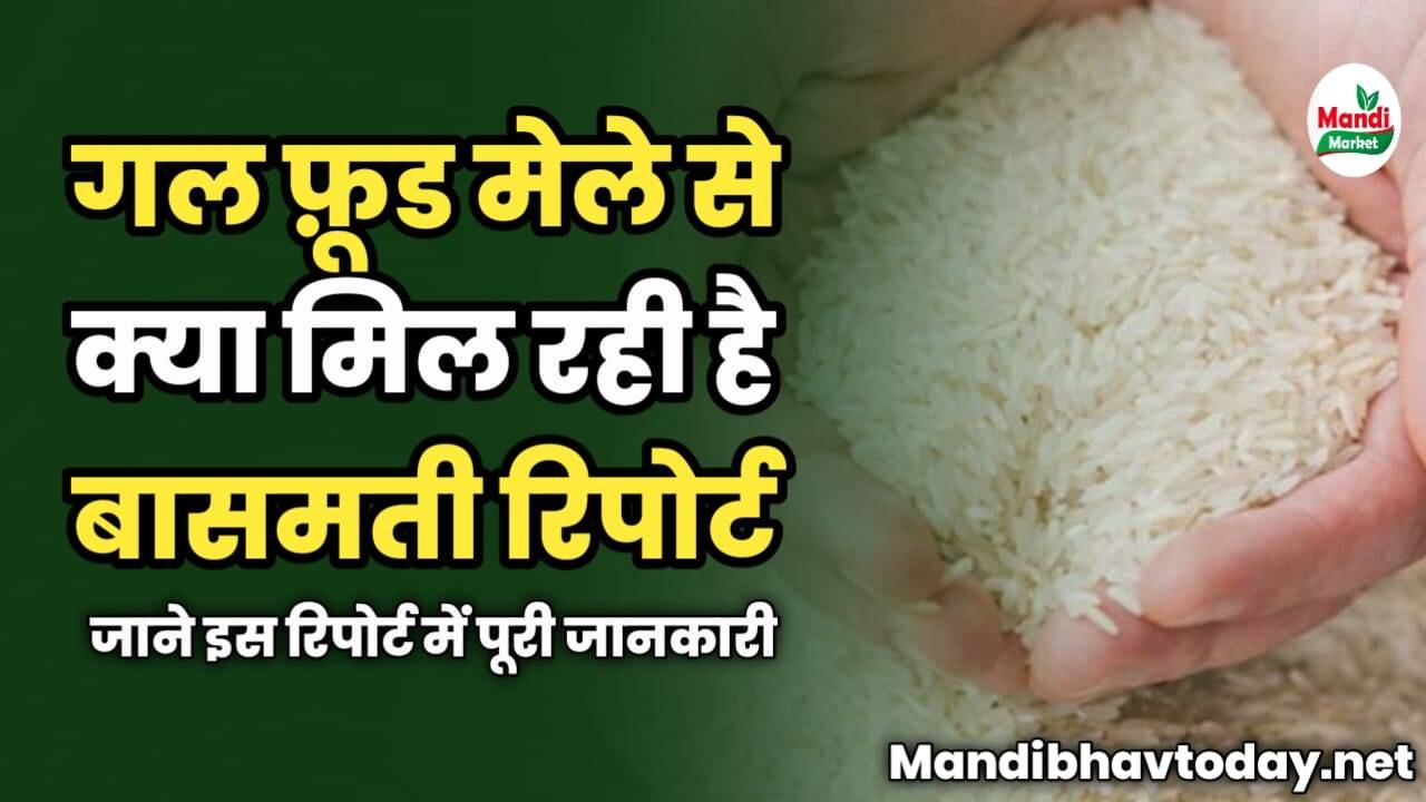 गल फ़ूड मेले से क्या मिल रही है बासमती रिपोर्ट | जाने इस रिपोर्ट में