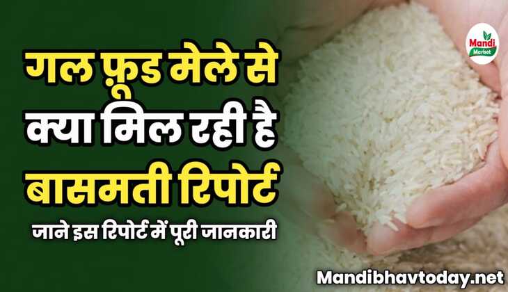 गल फ़ूड मेले से क्या मिल रही है बासमती रिपोर्ट | जाने इस रिपोर्ट में