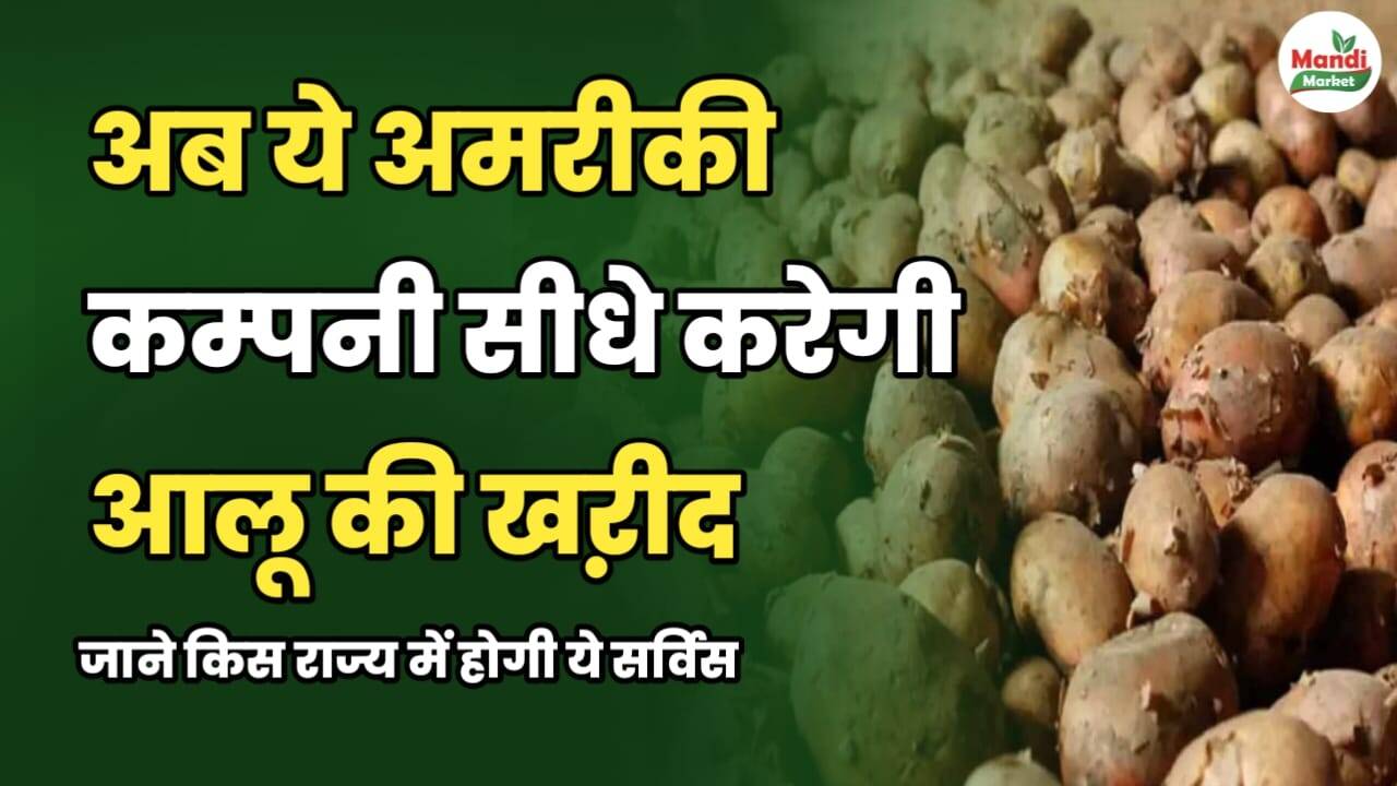अब ये अमरीकी कम्पनी सीधे करेगी आलू की खऱीद जाने किस राज्य में होगी ये सर्विस