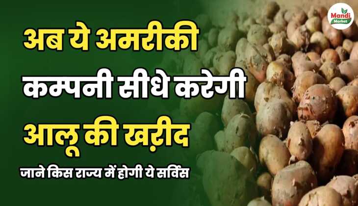 अब ये अमरीकी कम्पनी सीधे करेगी आलू की खऱीद जाने किस राज्य में होगी ये सर्विस