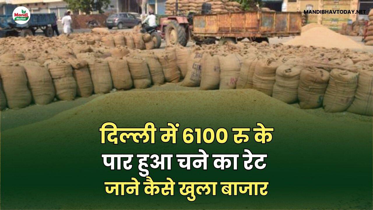 दिल्ली में 6100 रु के पार हुआ चने का रेट | जाने कैसे खुला बाजार