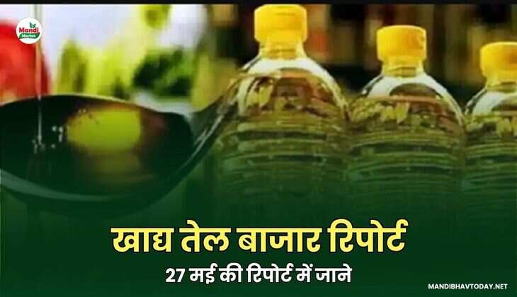  खाद्य तेल बाजार आउटलुक | 27 मई की रिपोर्ट में जाने