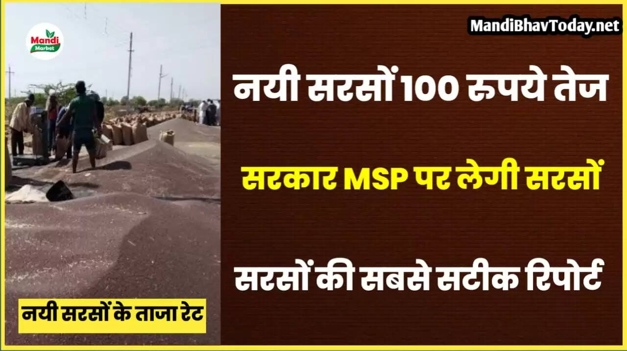teji mandi report