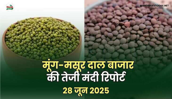 moung masoor daal images 