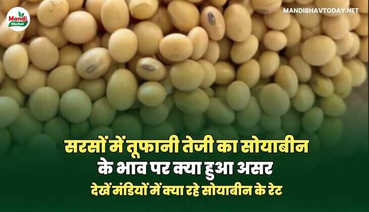  सोयाबीन के रेट